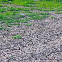١٦ دونم • مجمع مزارع • سند ملك