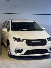 باسفيكا 2023 • تورنك L • بدون رقم