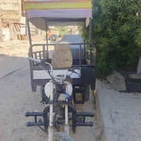ستوته • جديد • مكفوله
