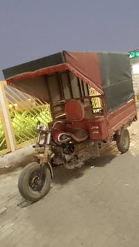 ستوته • ستوته شغاله • ستوته مكينه مجفته • ستوته بدون أوراق • دراجة ثلا...