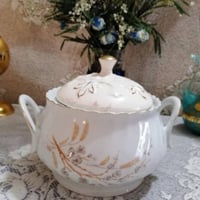 سلطانيات • مجموعة • توصيل