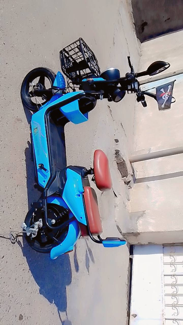 دراجه شحن للبيع
4بطاريات 
حجم 14
الدراجه نضيفه حيل 
السعر 250وبيهه مجال 
ألعنوان /بغداد الدوره 
رقم ألهاتف ***********
