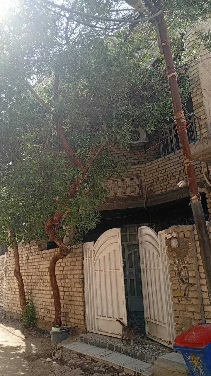 السلام عليكم بيت للبيع مساحه 100متر زراعي سند 25 طابقين يحتوي على غرفتين نوم وحمام داخلي وتواليت داخلي وخارجي ومطبخ وهول وسط مفتوح السعر 125
للاستفسار ***********
 الدوره مخابرات محله 848
