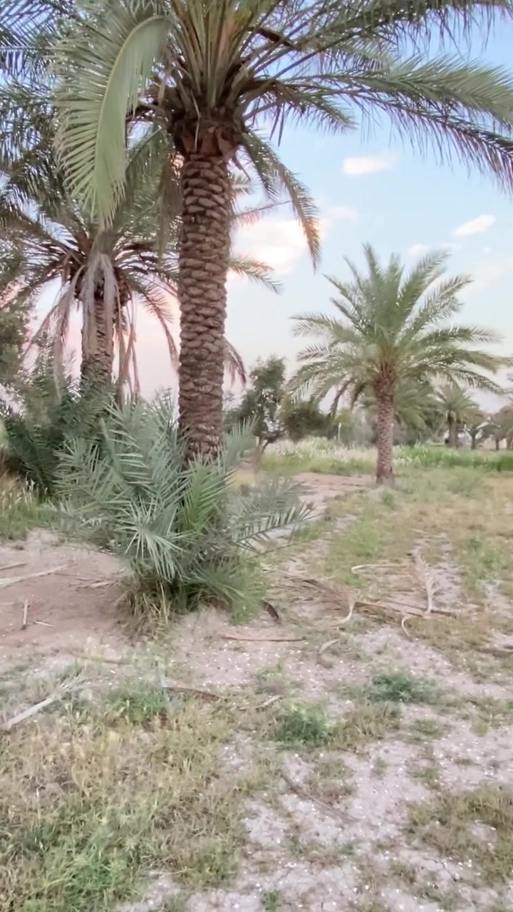 -دونم 1 طابو 25 ع طابو الكاظميه
-الوجه 30م، النزال 73م
-مخدوم بالكامل
-بالاضافه الى بير ونخيل
-يبعد عن جسر الدوار 10دقيقه
-📍الموقع البصام ريف الشعله
🛑للاستفسار اكثر مراسلة الصفحه او الاتصال ع الارقام التالية
***********
***********
