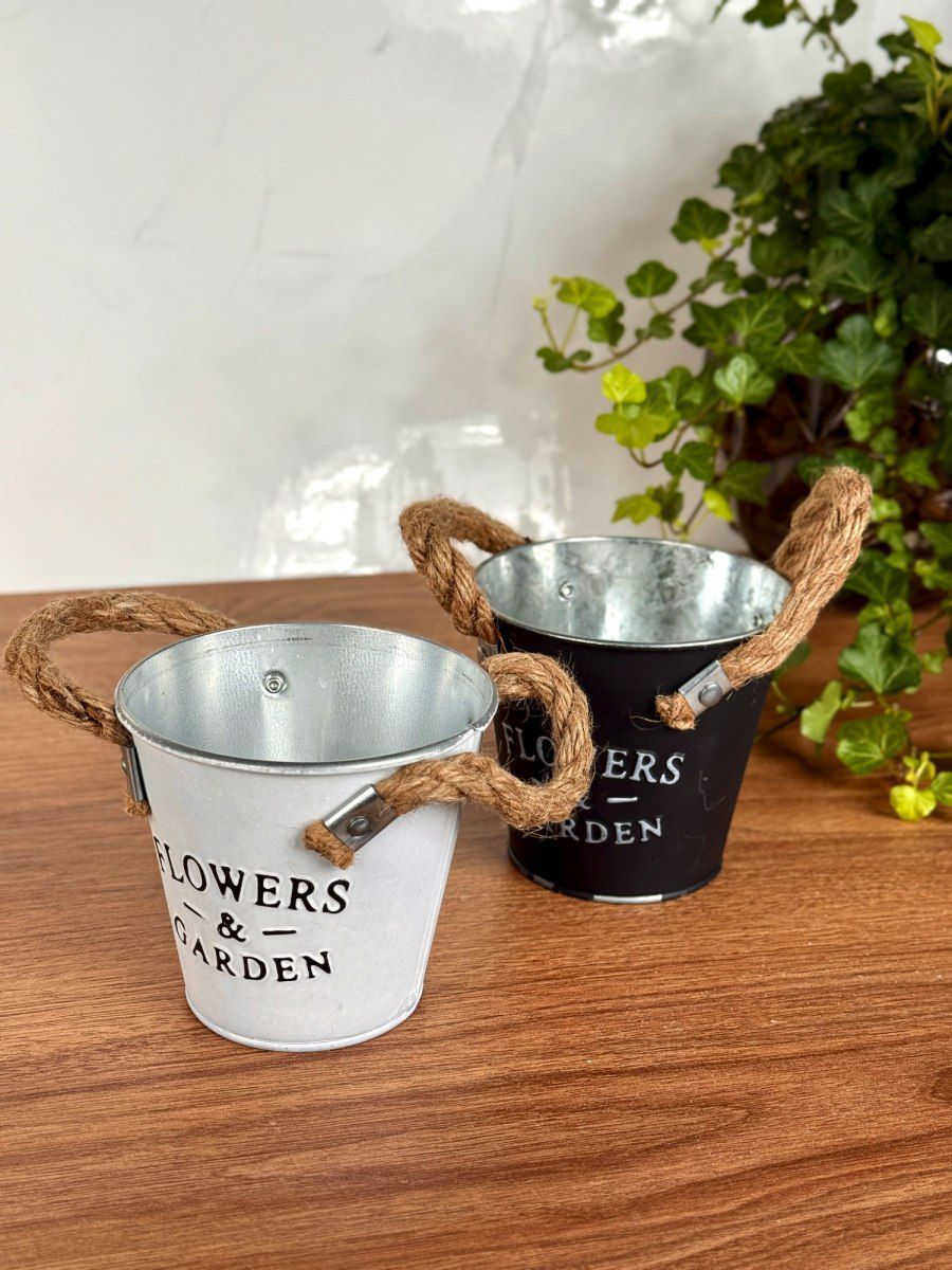 شباب 12قطعه بهذا شكل سندانه معدني مو بلاستك ب23الاف مع توصيل


**إذا كنت صاحب هذا الإعلان وتريد حذفه لأي سبب، رجاءا أرسل رسالة إلى الدعم الفني**