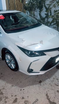 كورلا • ٢٠٢١ • رقم اربيل