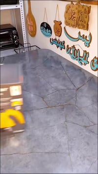 منظف بخاري محمول • RAF R.1028 • ١٠٠٠ واط