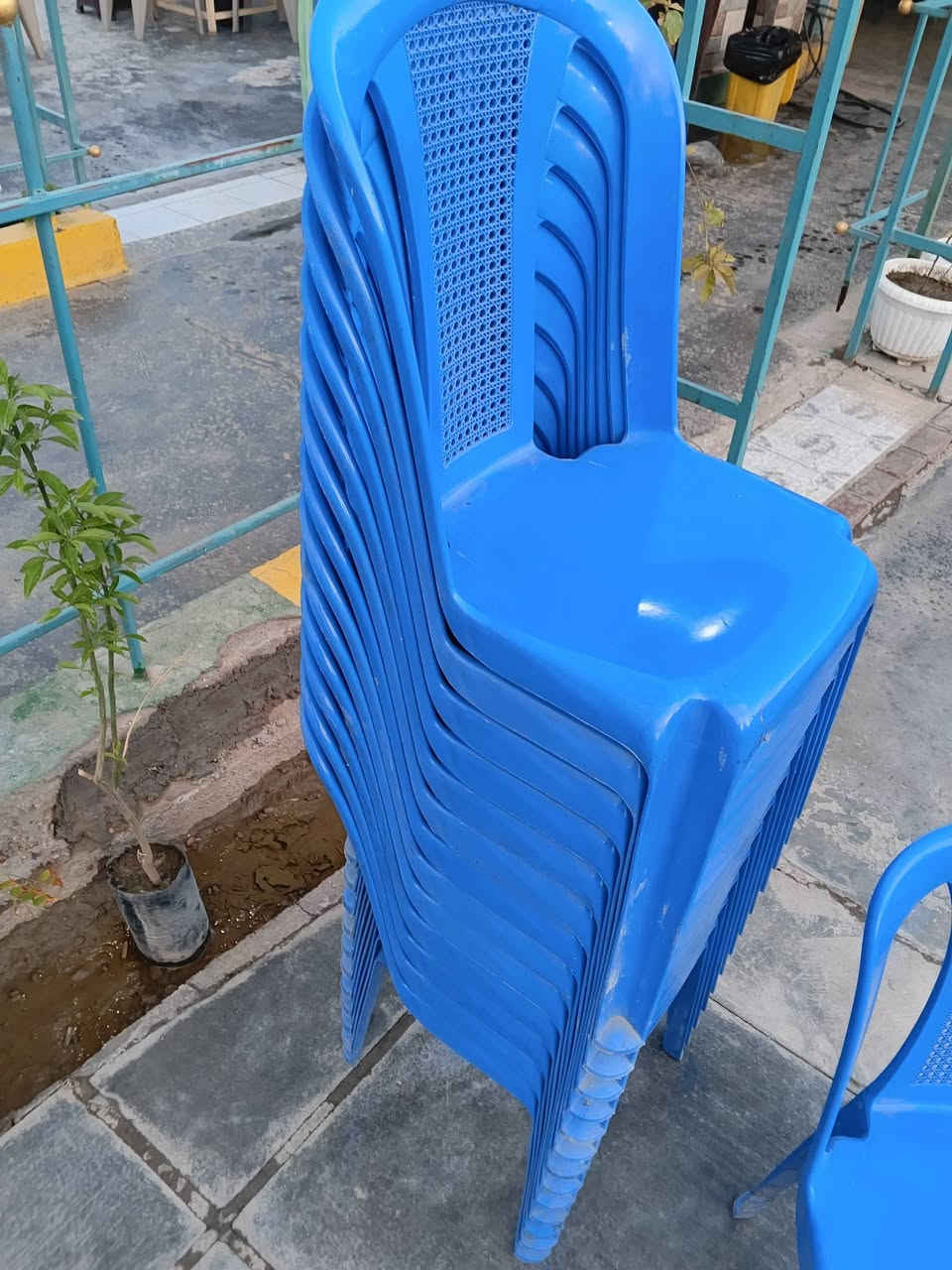 السلام عليكم 
كراسي للبيع العدد 50
محاويل حي 17 
السعر الواحد 6
***********
