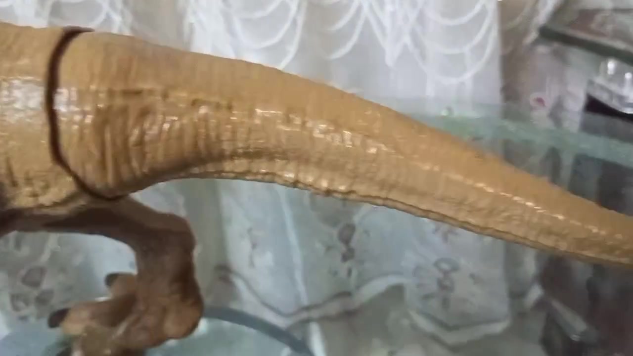 متوفر
ديناصورات حجم كبير عدد ٢
واحد بيهم تفاعلي 
يتوفر توصيل بغداد والمحافظات


**إذا كنت صاحب هذا الإعلان وتريد حذفه لأي سبب، رجاءا أرسل رسالة إلى الدعم الفني**