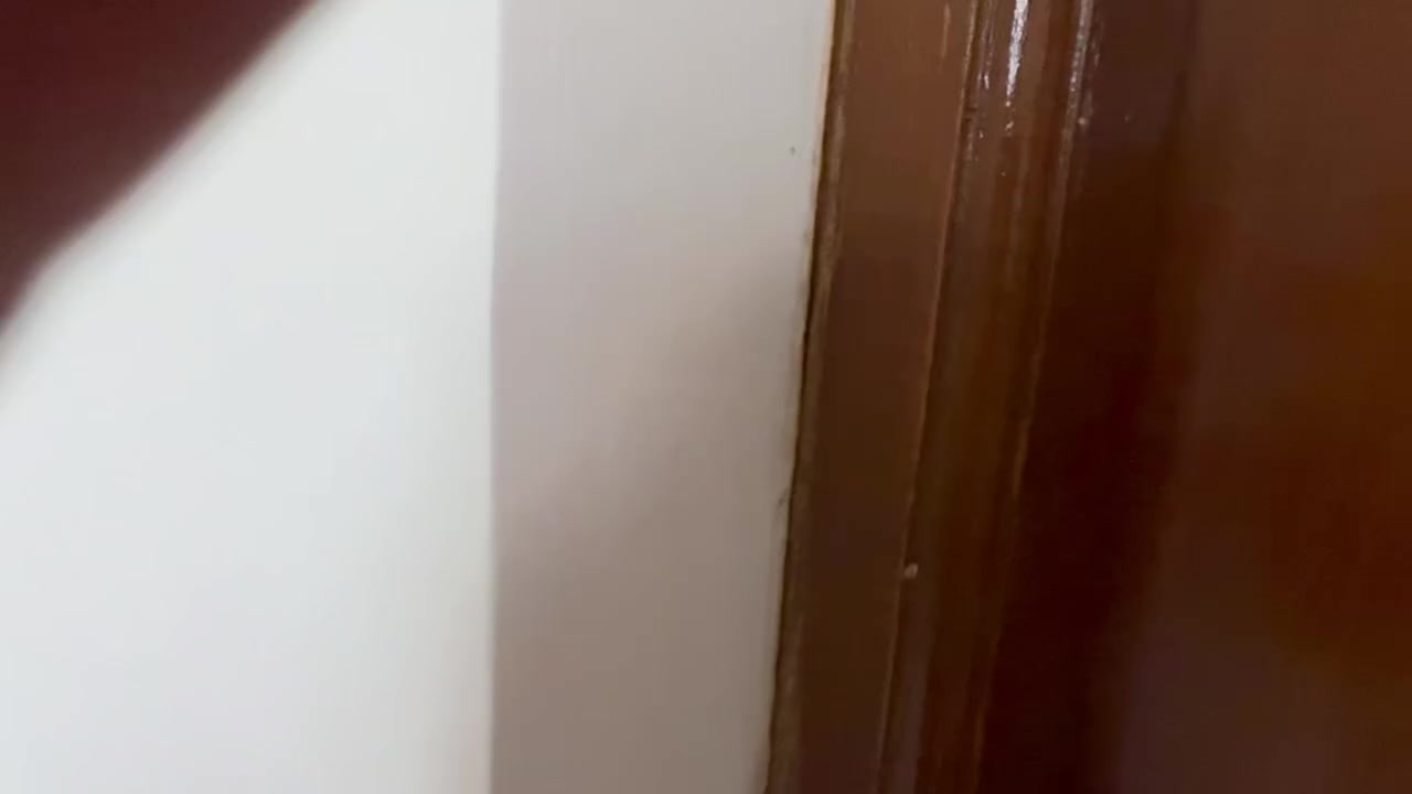 سلام عليكم دارللبيع طابقين طابو يحتوي عل أربع غرف واستقبال وصالة ومطبخ ***********
المكان كربلاءشارع شهيد
