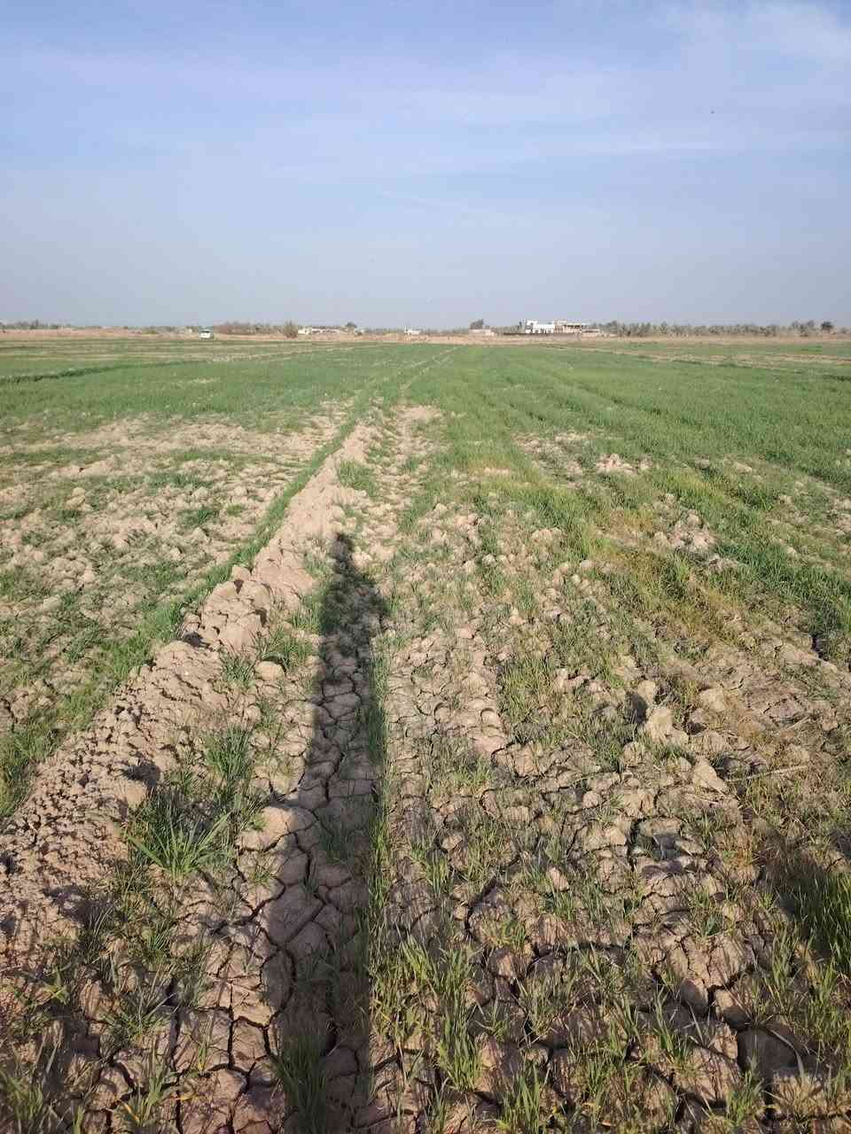 سلام عليكم حنطه ضمانه للبيع
تريده حشيش تريده حصاد ماكني بابل كفل ماي متوفر ٢٣ دونم ذابله كماوي توني


**إذا كنت صاحب هذا الإعلان وتريد حذفه لأي سبب، رجاءا أرسل رسالة إلى الدعم الفني**