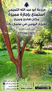 موثقه في تطبيق اجلرلي وباقي التطبيقات