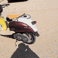 مصرية البيع مفتوحه مره وحده وغراض أصليه 300 وبيه مجال الشراي 078139210...