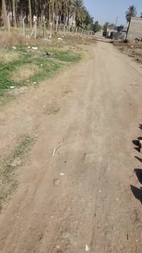 بستان أم وليد • ٢٥٠م • سند ٢٥