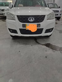 كريت وول • ٢٠١٣ • تبديل صبغ مكفولة