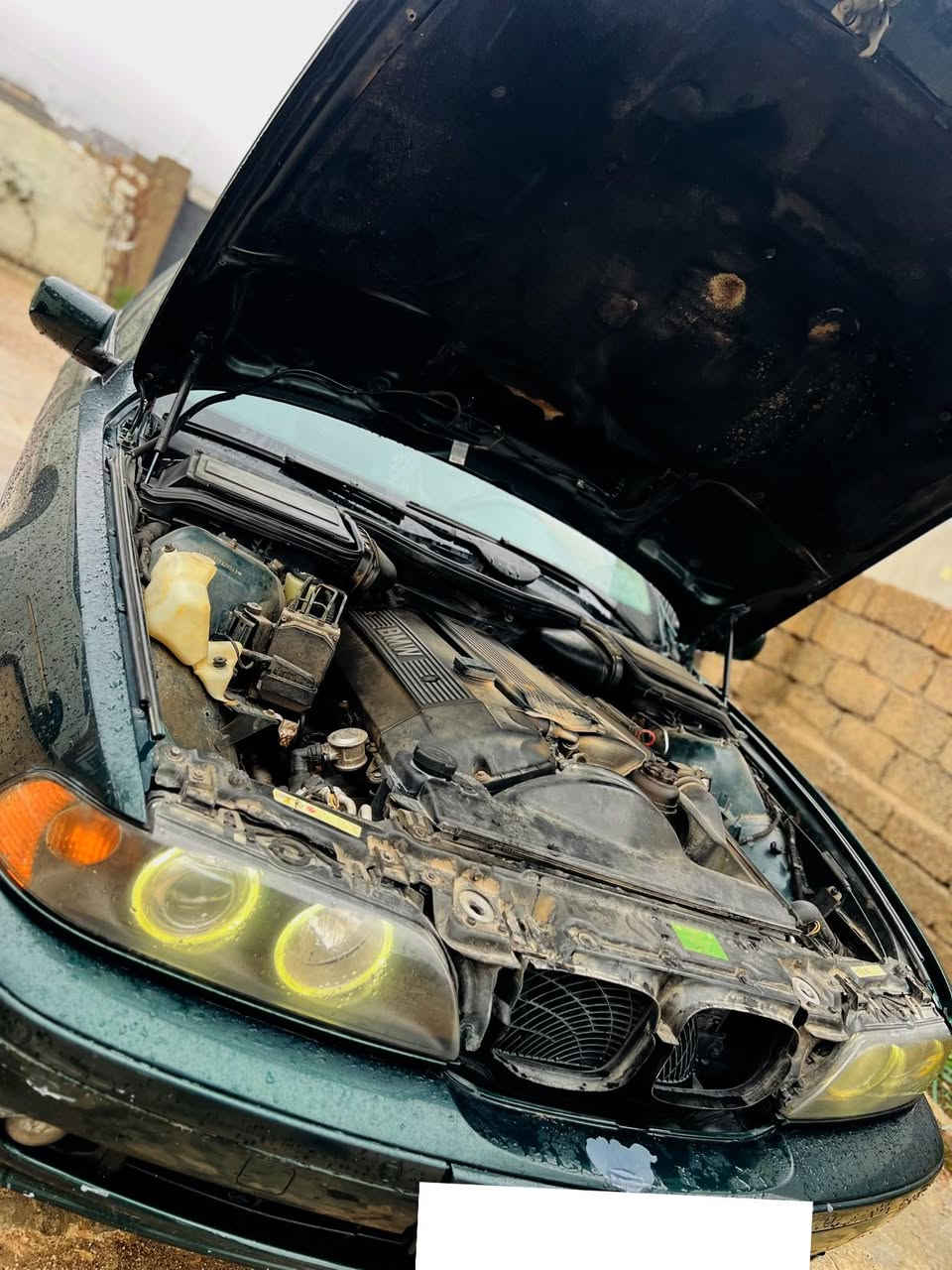 BMW بو فروتن525
موديل 2000

سقر فول فول مواسفات 

ده بل جيديتال 

ره نك زيتوني 

سعر 75$كه ميك مجال

3$وه ره قه خرامه له سه ره له به ر سعر دهيته كوشتن 

منافيس عصلي إبراهيم خليل له كه ل 

شه رتي غرامه 

بو بتر بيزانين هه توان ته له فون بكه ن موشته ري ني ته  لفون نه كه تكايه 
جوابي كوميت ناده م 🙏🏻

***********
