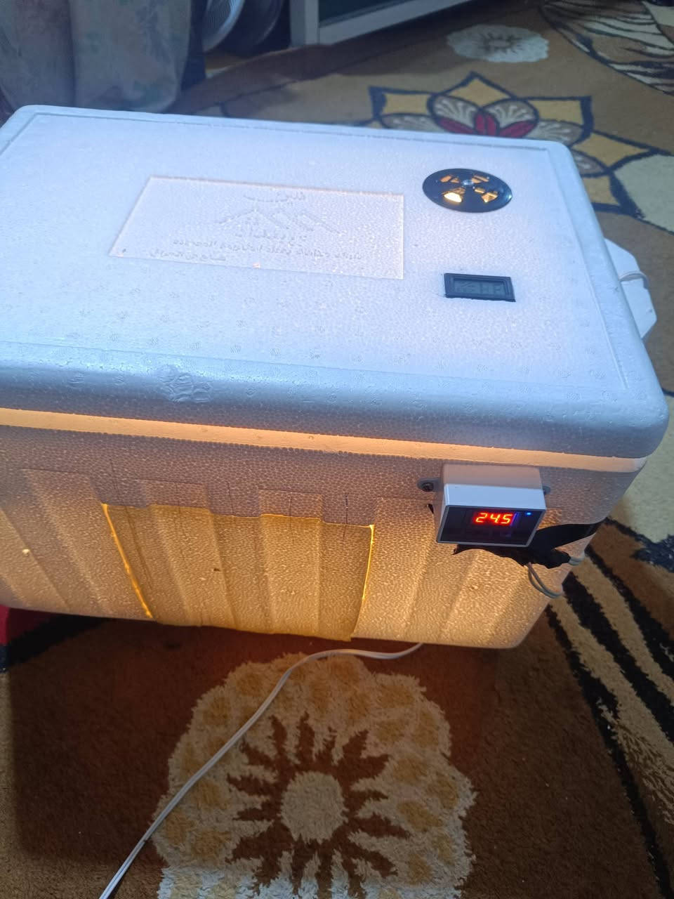 فقاسه جديده للبيع تاخذ 60بيضه
السعر 65


**إذا كنت صاحب هذا الإعلان وتريد حذفه لأي سبب، رجاءا أرسل رسالة إلى الدعم الفني**