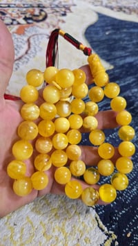 كهرب حر بولندي جامبو من العيار الثقيل جميل المسباح الوزن 115 غرام 45 ح...