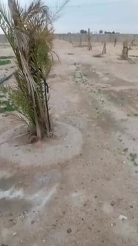 دونم زراعي • بير ارتواز • مسيج بلوك