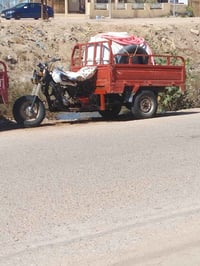 ستوتي 15 • كلك كلك • كرمه بني سعيد