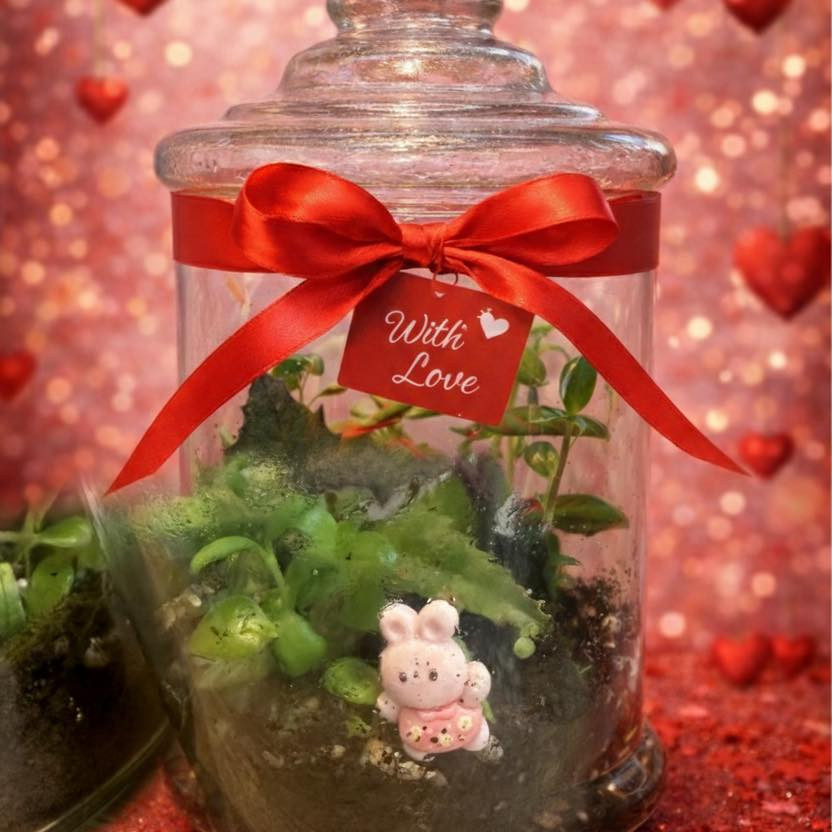 ❤️🌿 عيد حب مختلف… داخل تيراريوم أنيق 🌿❤️  

مو كل الهدايا تُنسى…  
بعضها يبقى يعيش ويكبر قدامكم 💚✨  

من جورية للنباتات Jouriyyah_plants  
نجهّزلك تيراريوم رومانسي أنيق  
بتغليف فاخر… وبطاقة حب بأحلى الكلمات 💌  

💝 تيراريوم جاهز للإهداء  
🌿 تصميم راقي داخل الزجاج  
✨ ذكرى تدوم مثل حبكم  

حبنا مثل هالتيراريوم… عالم صغير مليان حياة ❤️🌿  

احجز هديتك اليوم…

📍 زورونا أو تواصلوا معنا لاختيار نباتاتكم المفضلة
الكندي الاولى السايدين المؤدي للكندي الثانية ومصنع الكندي 
مجاور لحم بعجين الكوخ ومكتب الكندي للعقار
#ديكور #موصل #نباتات _ #استشارات #زراعية #Jouriyyah_plants #هدايا #سمك #فايتر
#غابتي_الصغيرة #plantlover


**إذا كنت صاحب هذا الإعلان وتريد حذفه لأي سبب، رجاءا أرسل رسالة إلى الدعم الفني**