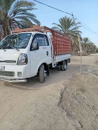 موديل ٢٢ • رقم بابل • كفالة عامة