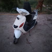 دولفين • نضيف • حلو