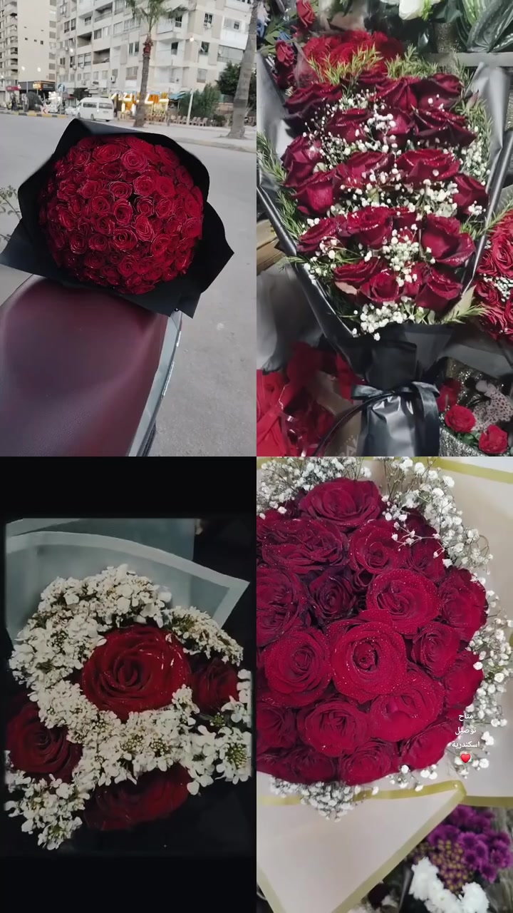 كانك روح❤️
بوكيهات ورد لجميع المناسبات 🌹
توصيل ورد داخل اسكندرية 🚚
للطلب واتساب 👇”


**إذا كنت صاحب هذا الإعلان وتريد حذفه لأي سبب، رجاءا أرسل رسالة إلى الدعم الفني**