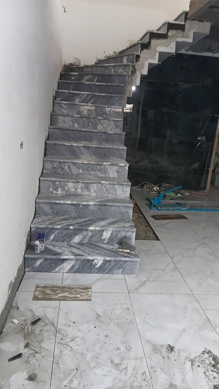 *********** محمود المصري
