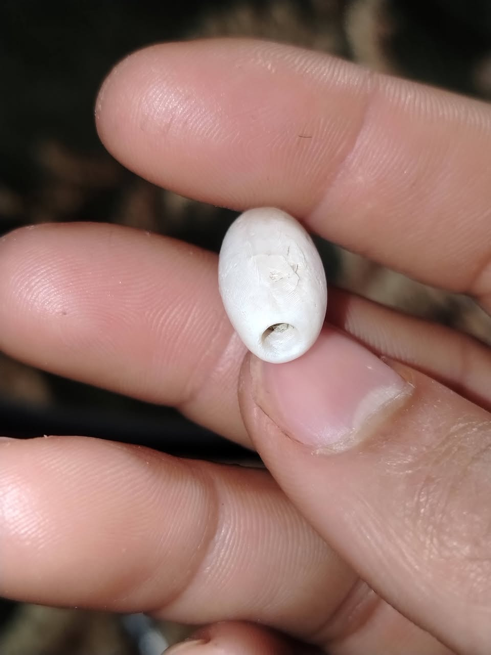 بعدها بترابها حلوة مثلكم


**إذا كنت صاحب هذا الإعلان وتريد حذفه لأي سبب، رجاءا أرسل رسالة إلى الدعم الفني**