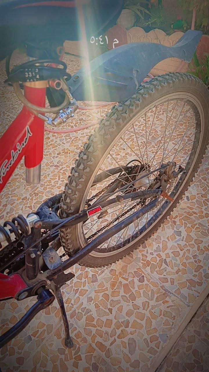 بايسكل ماركة GTX كلش نظيف حجم 26 مكان حي العربي 
السعر 110


**إذا كنت صاحب هذا الإعلان وتريد حذفه لأي سبب، رجاءا أرسل رسالة إلى الدعم الفني**