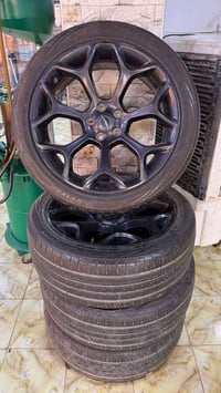 تخم للبيع نضيف وما مشدود بالعراق اصلا بدون مراوس فقط بيع  07771191002