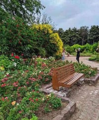 مشهد إيران • ١١ يوم • سكن قرب الحرم