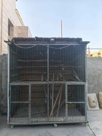 قفص • للبيع • ديكور منزلي