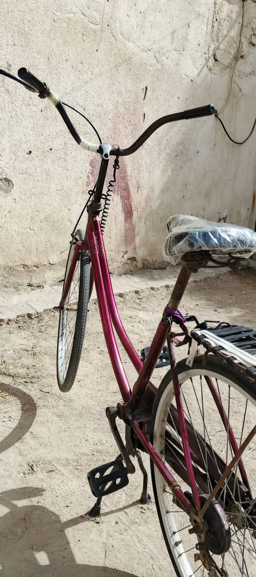 سلام عليكم بايسكل للبيع غراض كامله موجوده سعر 80وبي مجال مكان كرمة بني سعيد 👋🏼


**إذا كنت صاحب هذا الإعلان وتريد حذفه لأي سبب، رجاءا أرسل رسالة إلى الدعم الفني**