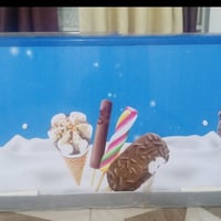 ثلاجة EGOR • حجم كبير • وضع الشركة