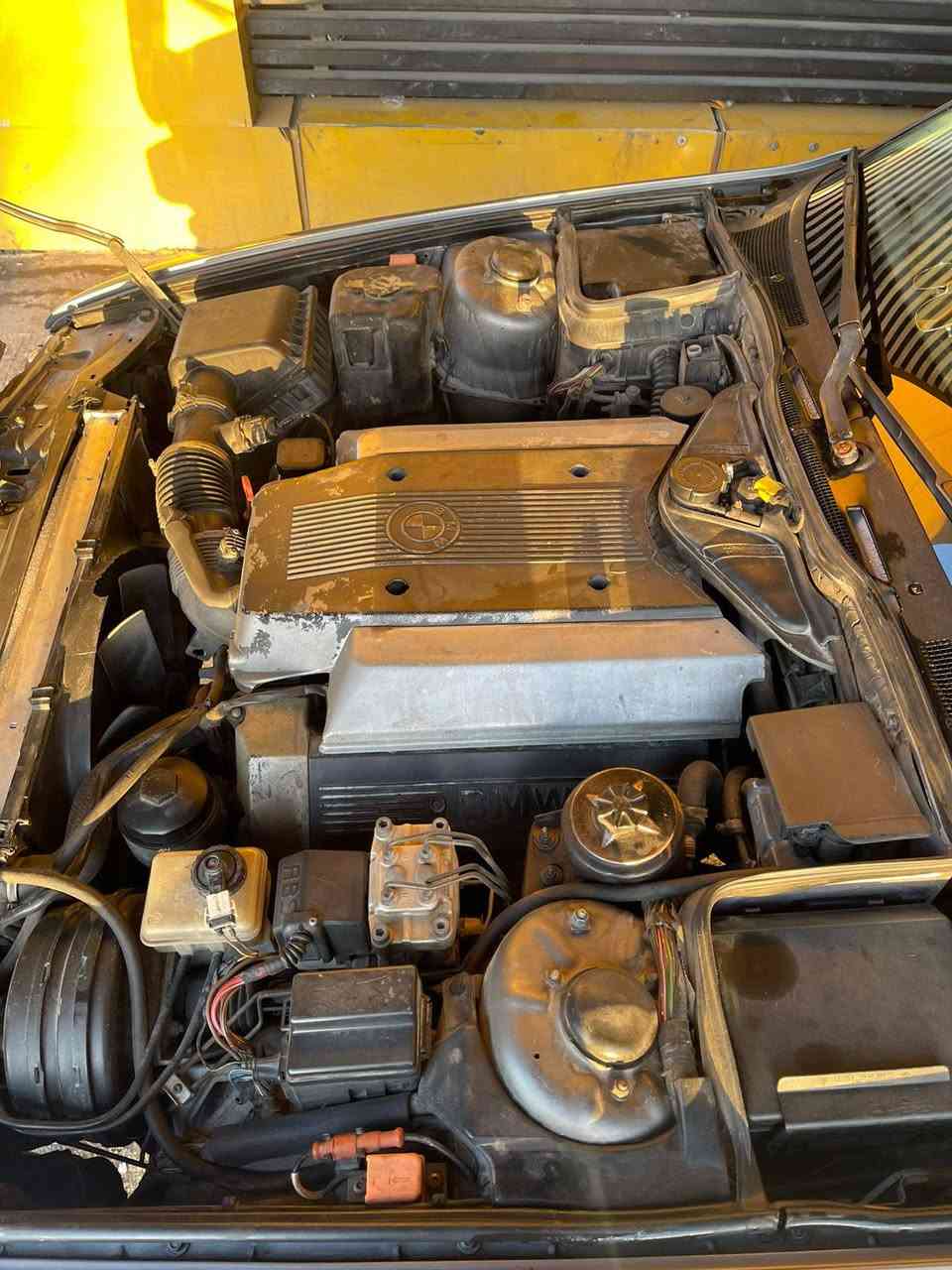 BMW 1996  740  V8
سياره عله وضع شركه 
تبريد شغال
دواخل نضيفه
مصبوغه جديد جماليه
محرك مناقصه شي
ترايك منا للبصرى
كير خير من الله
السعر 65 وبيه مجال
رقم موبايل *********** للستفسار
