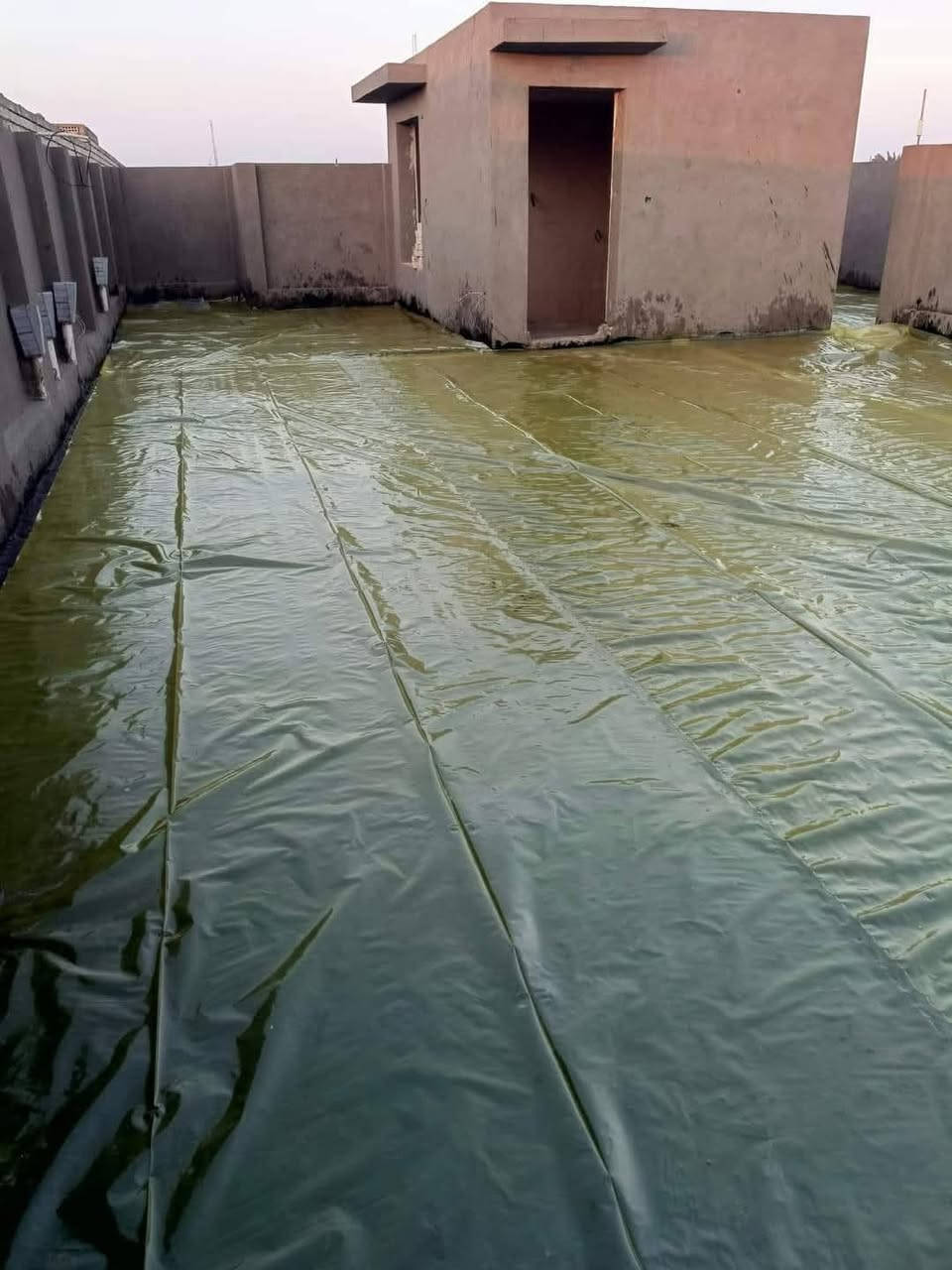 مستعدون عمل كير وشتياكر وفلين ماستك فلانكوت عنوان كربلاء حي شهداء سيف ال ستفسار على رقم ***********
