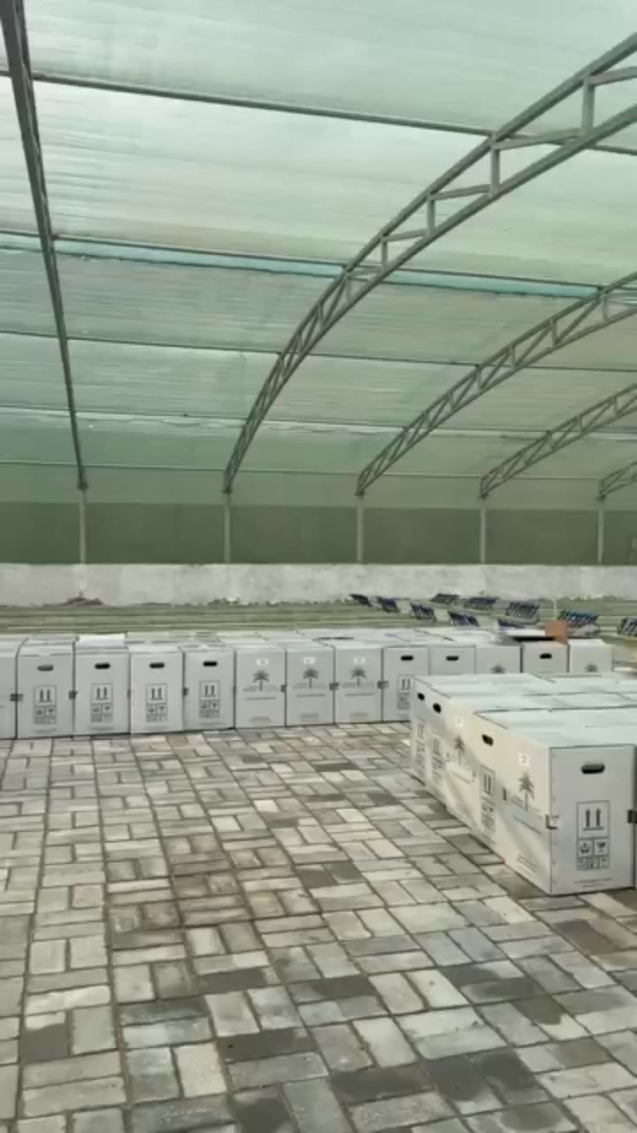 � من مختبر الوثبة الماريونية … إلى مزارعي العراق 🌴

بحمد الله وصلت دفعة فسائل النخيل النسيجي إلى العراق قادمة من داخل مختبر الوثبة الفرنسي في الإمارات العربية المتحدة،
وهي الآن جاهزة للتوزيع على المزارعين والمستثمرين.

🌱 الأصناف المتوفرة في هذه الدفعة:
▪️ مجهول
▪️ برحي
▪️ حلوة دبي

دفعتنا الأولى ضمن خطة تجهيز فسائل نسيجية عالية الجودة،
لبداية زراعية قوية ومضمونة بإذن الله.

📦 تم الوصول والتجهيز للتوزيع
📍 عبر فروع شركة النسيج الأخضر في:

📌 النعمانية – واسط
غزوان
📞 ***********

📌 كربلاء – أبو مصطفى
📞 ***********

📌 كربلاء – أبو فاطمة
📞 ***********

📌 ديالى – صفاء الصريوي
📞 ***********

📞 للاستفسار والتنسيق، يرجى التواصل مع أقرب فرع إليكم عبر الأرقام أعلاه.

#النسيج_الأخضر
#فسائل_نخيل
#نخيل_نسيجي
#زراعة_النخيل
#تمور
#مزارعي_العراق
#برحي
#مجهول
#حلوة_دبي
#النعمانية
#كربلاء
#ديالى
