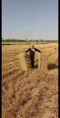 يوجد كبسات تبن للبيع واصل جميع المحافضات 07833215253
