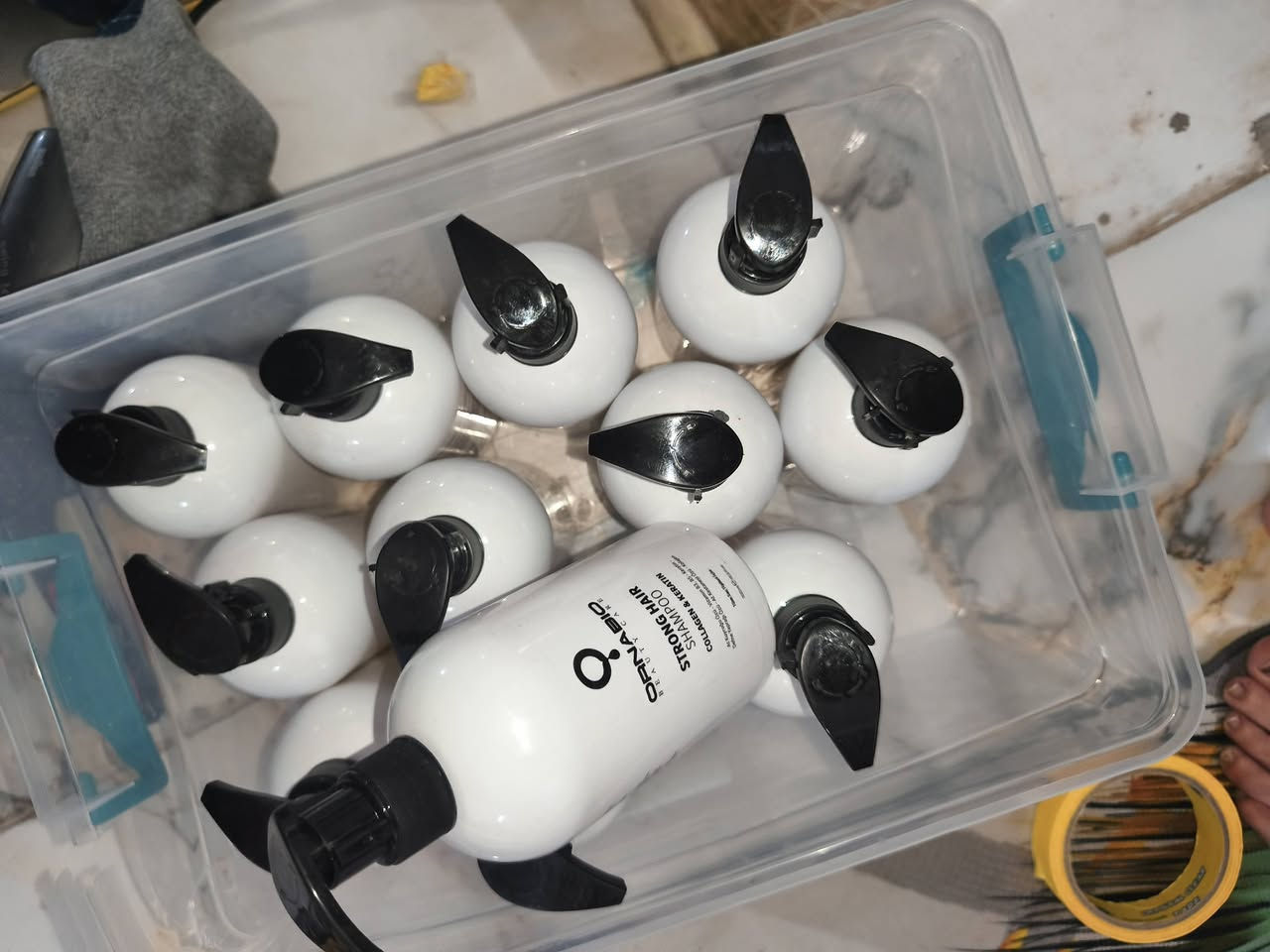 السلام عليكم عندي شلعه مكياج شيكلام وعنايه مكس ومكياج كوري وعنايه كوريه وشامبو درزن كامل كلهن200الف دينار بيهم مجال بسيط لتواصل خاص


**إذا كنت صاحب هذا الإعلان وتريد حذفه لأي سبب، رجاءا أرسل رسالة إلى الدعم الفني**