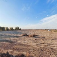 خمسه دونم بالقرب من الثروه الحيوانية مسيجه وجاهزه واجهه ٧٦   ونزال ١٦٠...