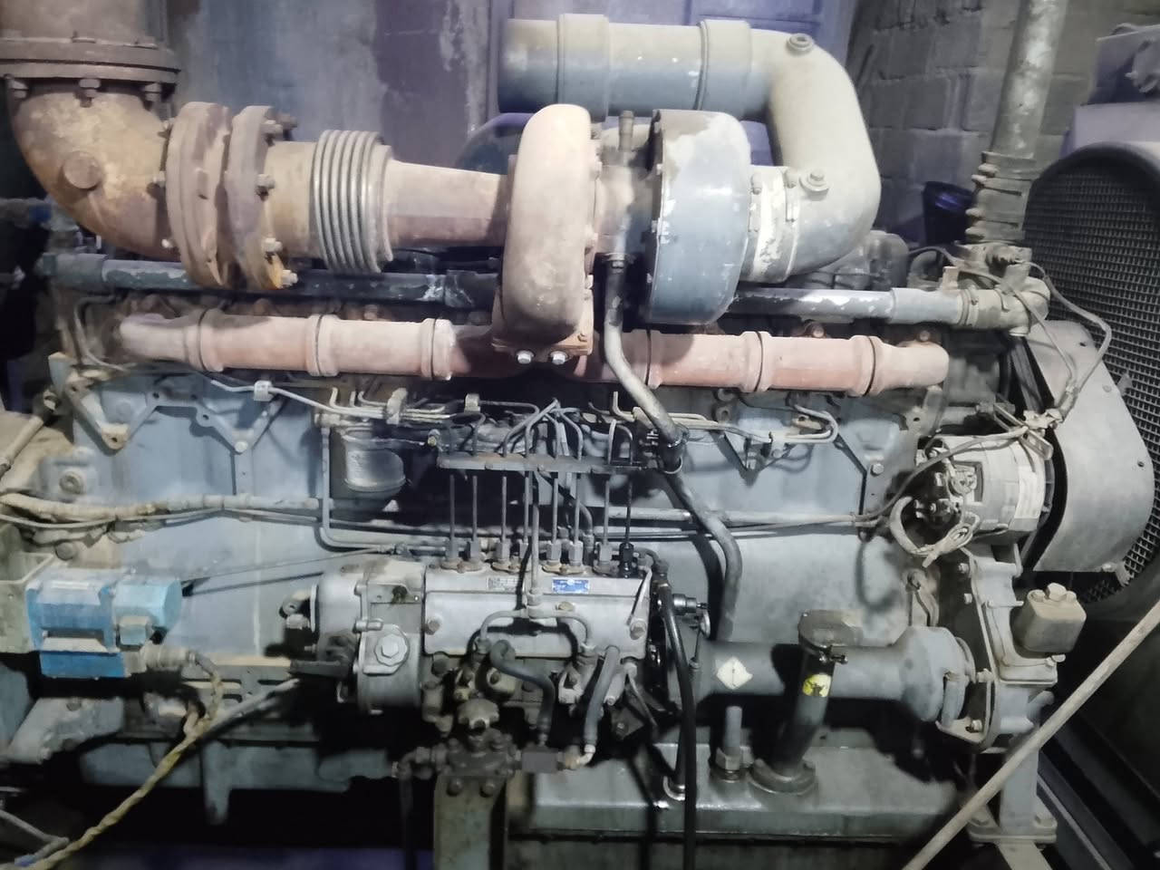 روز رايز للبيع واحد 250 كيف ***********
