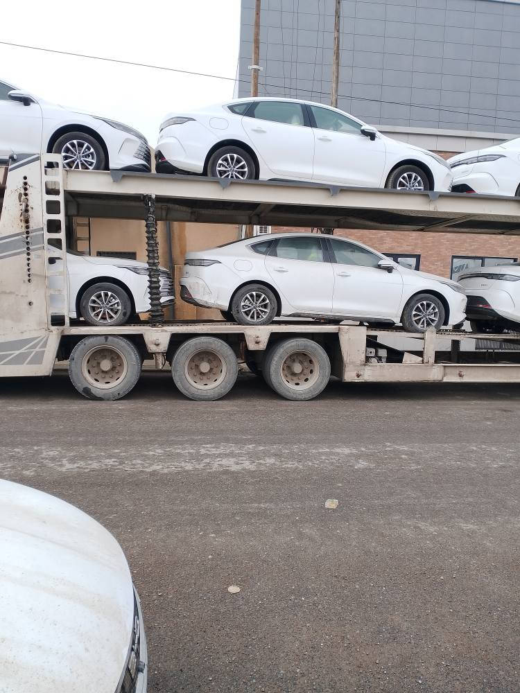 BYD DESTROY 🔥 2025🔥
0KM
ديستروي 2025
سفر كيلومتر
ويل كروم _ناو زةرد
كارت و بصمة 
هةموو شتي خۆی بیلاد لەگەلە
شوين هةولير 
بو سعر پةيوةندي بكة
***********_*********** أربيل, العراق
