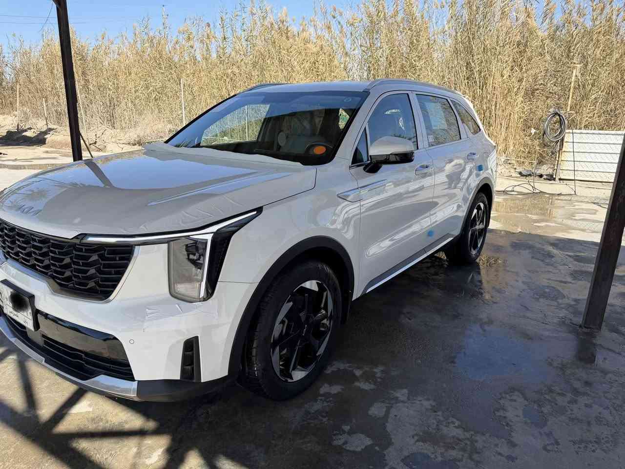 السلام عليكم ورحمة الله وبركاته
للبيع سورنتو 2024  خليجي الدولية ام الضمان مكفول كفاله عامه 

زيرو السياره ماشيه 20 وكارتون وبعدهه بنايلون الشركه 

سبير وعده بعدهم والبصمة الثانيه زيرو 

لايت لد 

كشاف زنون 

كير ماوس 

حساس اماميه

حساس خلفي 

كامره متحركه 

سايد بريك دكمه

اوتو هولد

مود درايف

سايد بريك دكمه

بردات خلفيه

تبريد لمس 

تشغيل عن بعد 

صندوك كهرباء

تبريد خلفي

مكينه 3.5

شفتات استيرن

شاحن تلفون

فول تحكمات 

اريل نفكيشن 

بقيه المواصفات المعروفه 

رقم بابل

السعر 305 وبيه شي قليل 

مكان السياره بالحله 

***********
