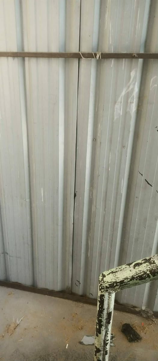 جينكو ولحديد للبيع المكان بغداد لشعله حي الجوادين سعر ١٠٠وبي مجال


**إذا كنت صاحب هذا الإعلان وتريد حذفه لأي سبب، رجاءا أرسل رسالة إلى الدعم الفني**