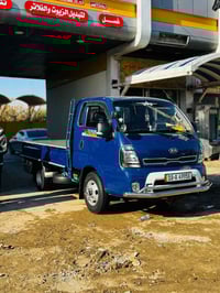 فحل • موديل ١٧ • بابل