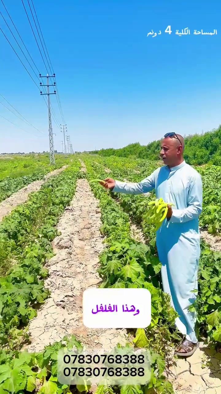 للبيع اربعه دونم طابو زراعي سند ٢٥ 
فيديو تصوير الأرض بالدرون أول تعليق 
كافة التفاصيل اتصل وتدلل
***********
***********
@الجميع 
@إشارة
