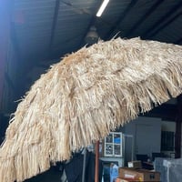 على اول تم 35