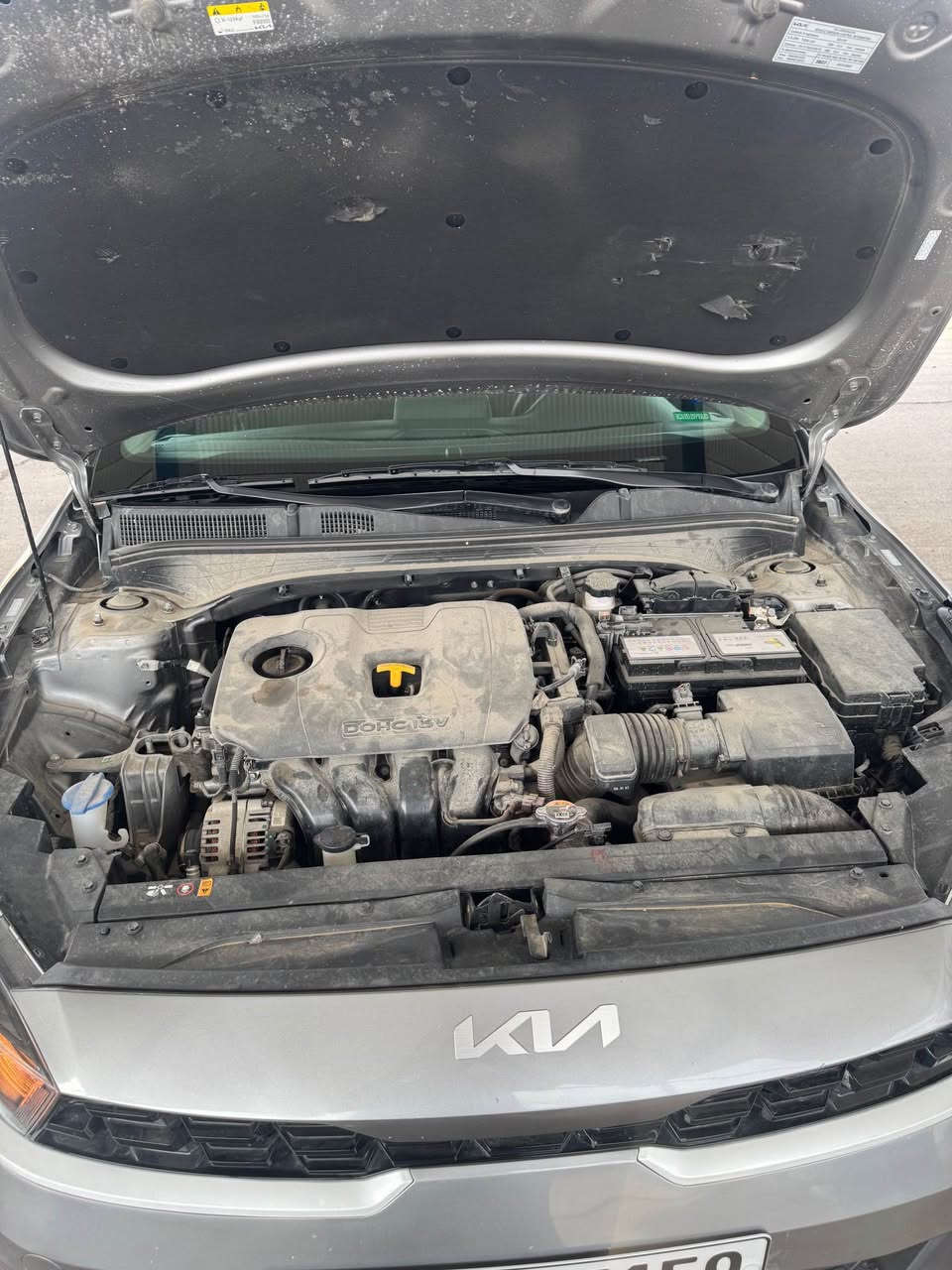 سلام عليكم …..
كيا فورتي ٢٠٢٤
دخول جديد 
رقم أربيل بأسم شركة تحويل أو وكالة ثاني يوم 
مبدل بيها دعامية فقط البدي كفالة عامة 
شواصي كفالة 
ايرباك دشبول + دركة مصلحات تصليح درجة أولى 
مواصفات 
حساسات خلفية +كامرا دوارة 
رادار امامي 
رادار خلفي 
إشارة بالمري
رادار بالمري نقاط عمياء 
لد امامي + خلفي 
مكينة ٢٠٠٠ 
ماشية ٧٩٠٠ كيلو مو ميل 
السعر١٥٧$
السيارة موجودة بالعمارة وهذا رقمي
*********** عمارة, ميسان
